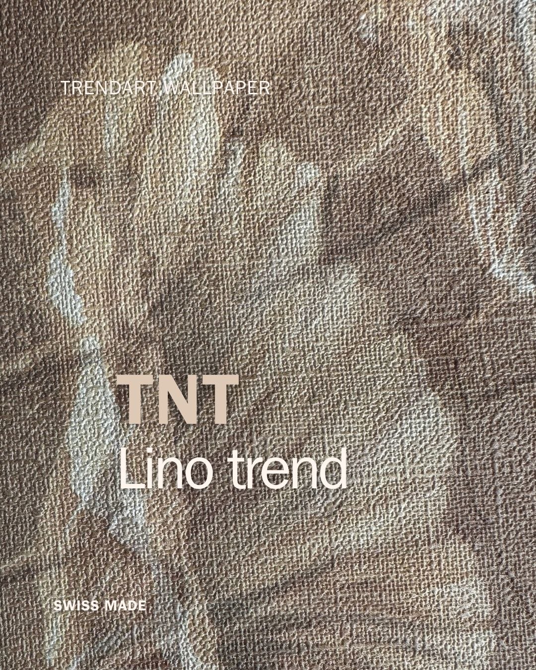Campione identificato TNT Lino trend