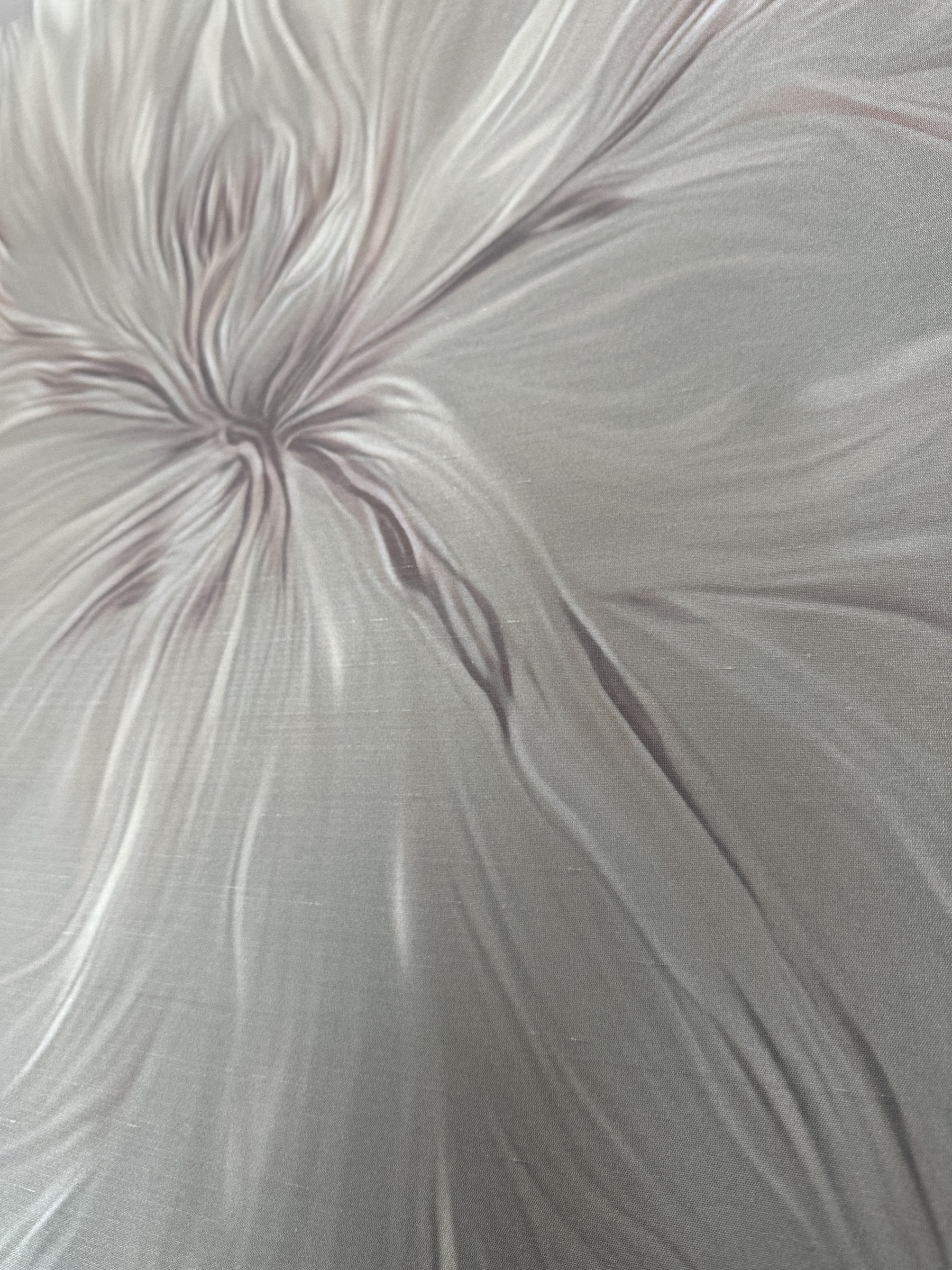 Luce radente sui petali di un disegno floreale stampato